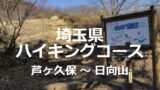 道の駅はなぞのは埼玉県屈指の道の駅だが車中泊は?