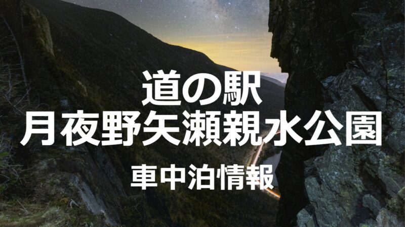 群馬県道の駅月夜野矢瀬親水公園の車中泊情報