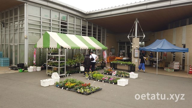 道の駅しょうなんの車中泊は待つべし リニューアルでの駐車場拡張に期待 千葉県