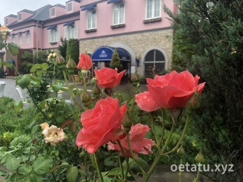 花園フォレストバラ園