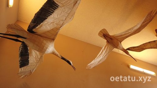 我孫子市鳥の博物館