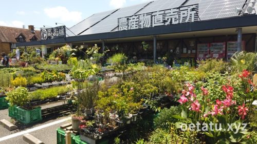 道の駅ローズマリー公園農産物直売所
