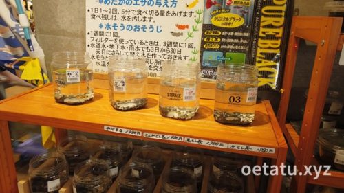 道の駅まくらがの里こがメダカ